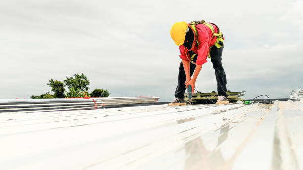 Hot Roofs in Town And Country, WA